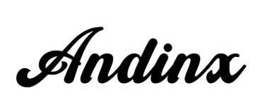 *PRE-ORDER* Andinx Necklace